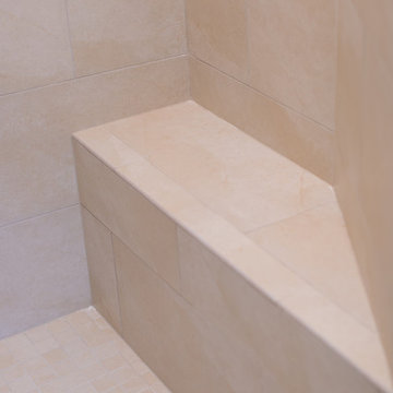 Master Bathroom | Expand and Brighten Shower | Repaint Walls & Ceiling