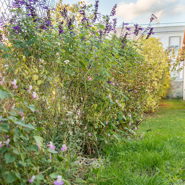 Jardin printemps - Noisy-le-grand