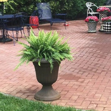 Brick Patio