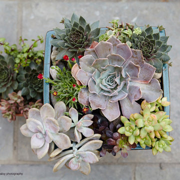 City Brownstone Garden