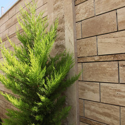 12x24 Veincut Travertine Wall Tiles - Wall And Floor Tile