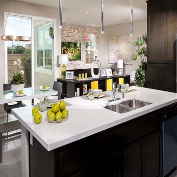 Frontier Communities Model Homes (Interior)