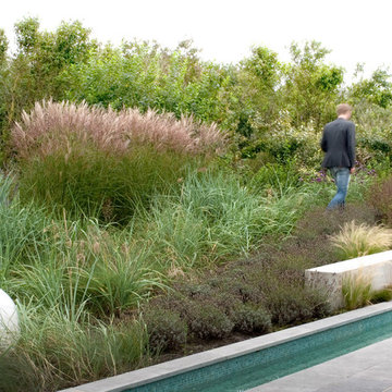 Dune garden in The Netherlands