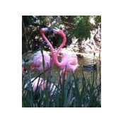 Lynn Everett's photo