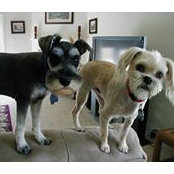 Pat Cabral's photo