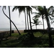 Monk Kad's photo