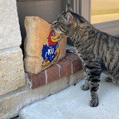 Kathryn Ewing's photo