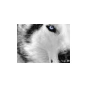 Sara Cash's photo
