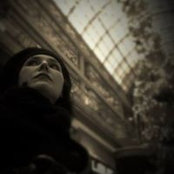 Andrea Walsh's photo