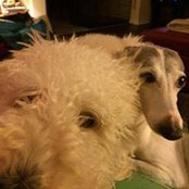Kara Leeth's photo