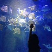 Niko Chen's photo