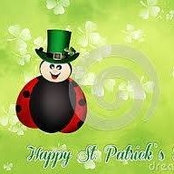 Debbie Bonilla's photo