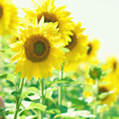 ANN BARDWELL-Ross's photo
