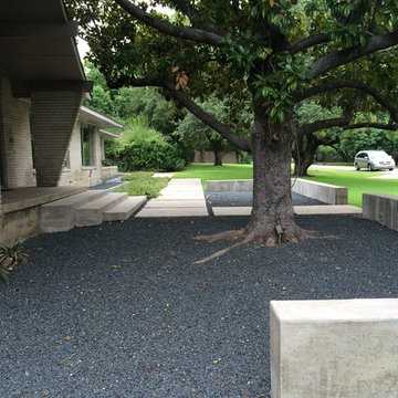Front courtyard surrounds old magnolia