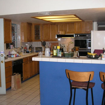 Premium Wholesale Cabinets - Claudia Kitchen Design & Remodel