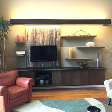 Entertainment Media Area