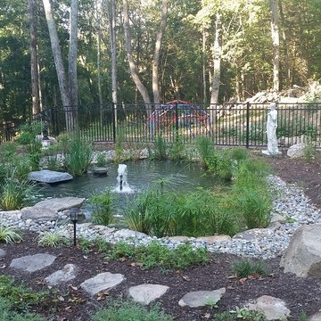 Natural Swimming PoolFiltration zone for Natural Swimming pool