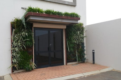 Inspiration for a mid-sized contemporary courtyard garden in Perth with a vertical garden.