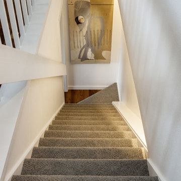 Contemporary Whole Home Renovation