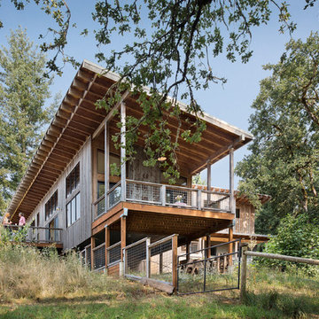 Modern Farmhouse