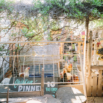 Urban Homesteading Berkeley