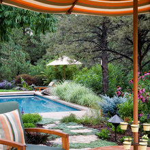 Pool Landscaping