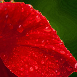 Fine Art Photography - Digital paintings - Products