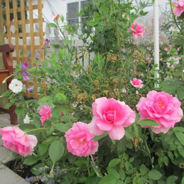 Paradise Garden 2018