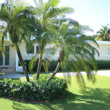 Landscape Ideas