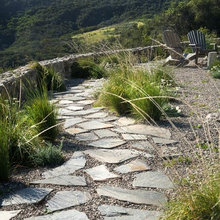 Side Yard