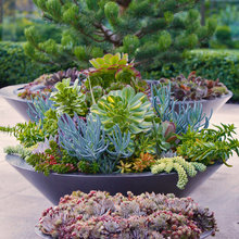 Indoor gardening