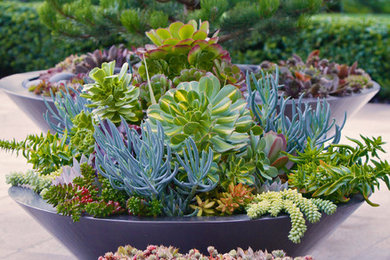 Photo of a contemporary landscaping in Vancouver.