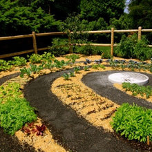 Zen Veggie Garden