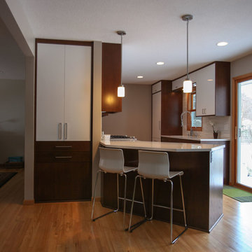 Brooklyn Park Modern Kitchen Remodel