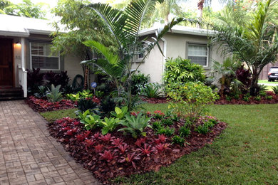 This is an example of a tropical landscaping in Miami.