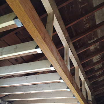Complete gut kitchen renovation