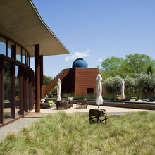 tree house/ observatory