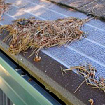 Leaf Guard MN, Leaf Guard Minnesota