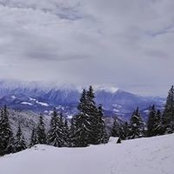 Iulia Radulescu Urdea's photo