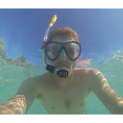Ludovic Guibert's photo