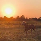 Julie Diley's photo