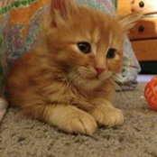 James Shirley's photo