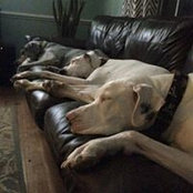 Starla Smith Ring's photo