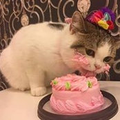 Molly Lye's photo