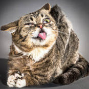 Aaron Newton's photo