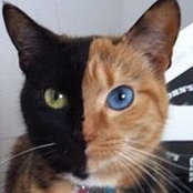 Amanda Velez-garcia's photo