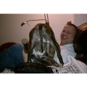 David Staben's photo