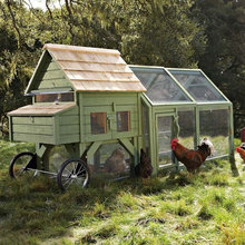 Garden and Chicks