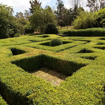 Oasis in Ohoka