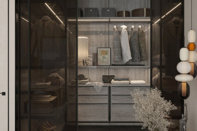 Пример оригинального дизайна: шкаф в нише унисекс в современном стиле с стеклянными фасадами, черными фасадами, полом из ламината и коричневым полом